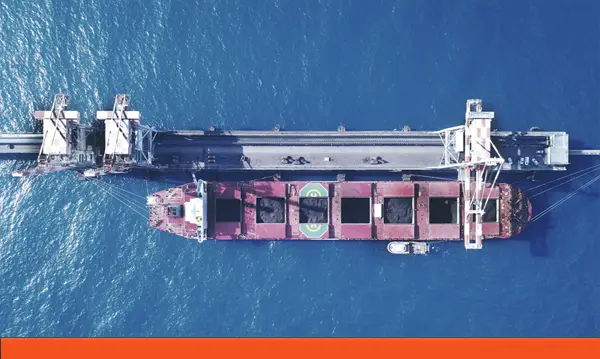 Dry Cargo Trading & Chartering