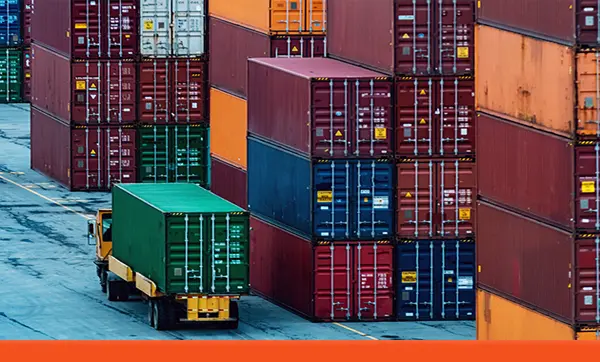 Shipping & Cargo Container Survey