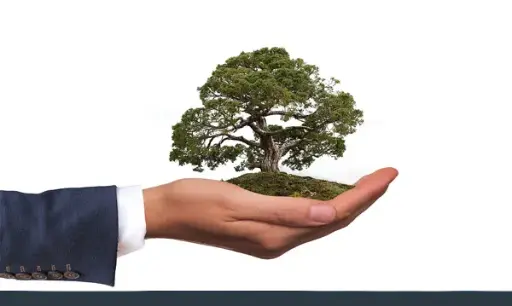 Lead Auditor ISO 14001:2015