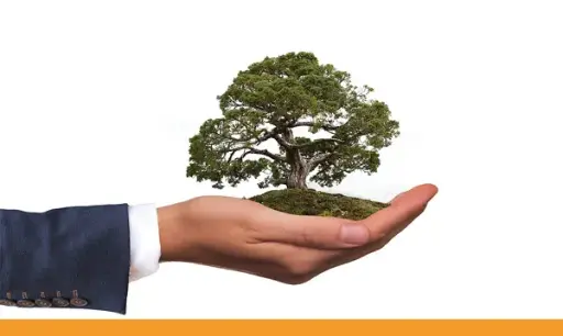Internal Auditor ISO 14001:2015
