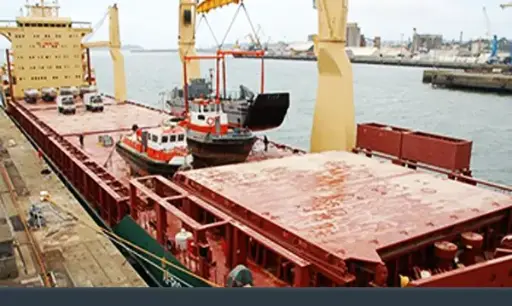 Expert in General Cargo Inspection