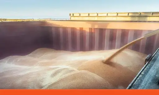Dry Bulk Cargo Surveys