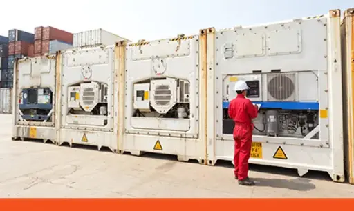 Refrigerated & Frozen Cargo Inspection